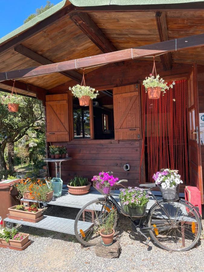 Agricamping Le Terrazze Hotel Orco Feglino Exterior photo